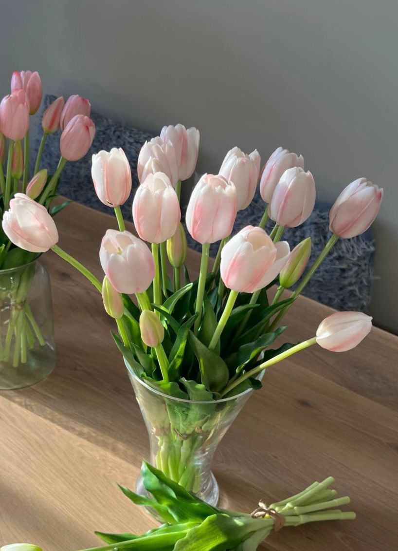 Roze met wit gemêleerde kunst tulpen 🌷