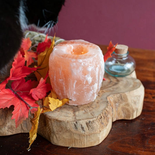 Zuiverende zoutsteen