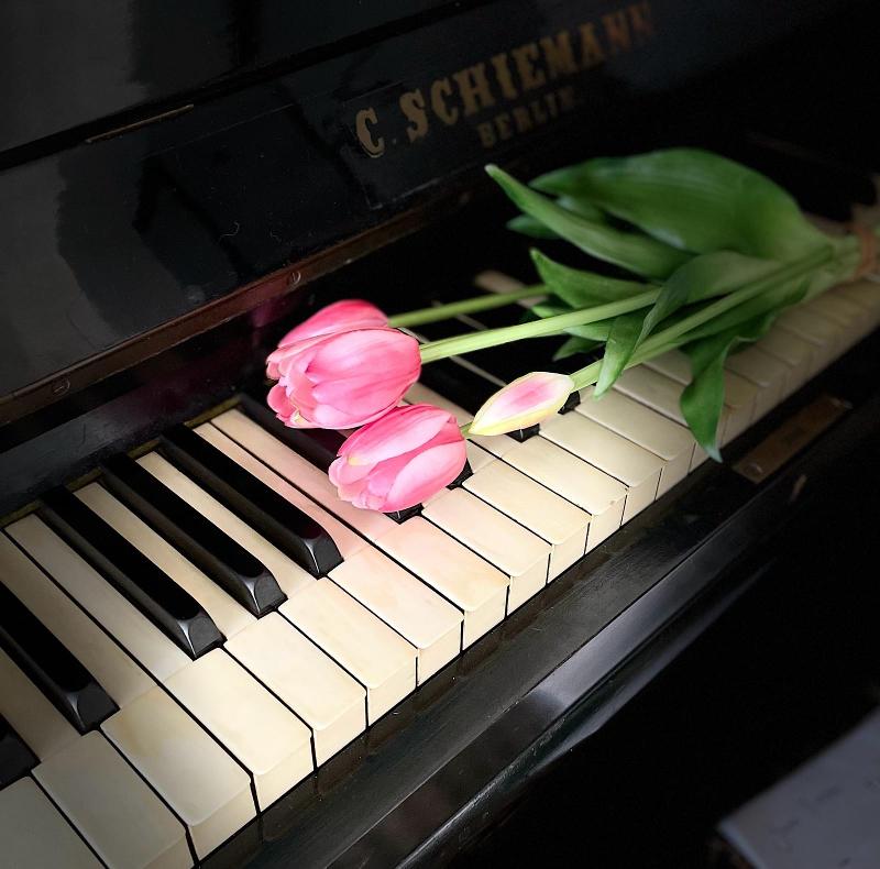 Kunsttulpen paars van hoogwaardige kwaliteit real touch tulpen sillicone