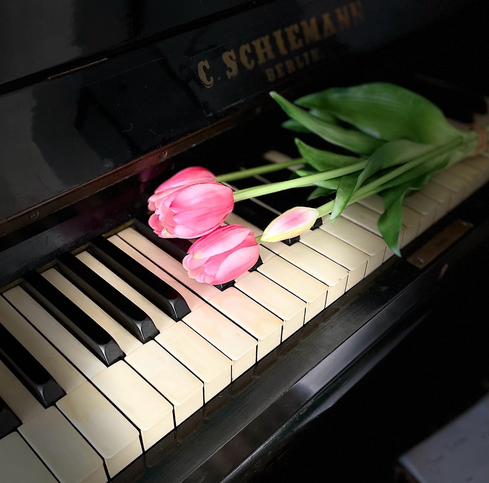 Fel roze kunst tulpen op piano – real touch nep tulpen die echt lijken voor moderne interieur styling